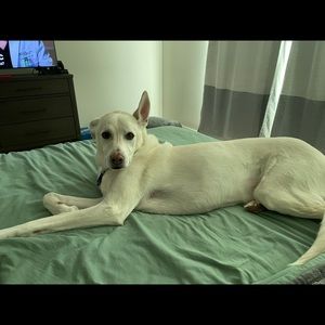 Meet your Posher, Shari